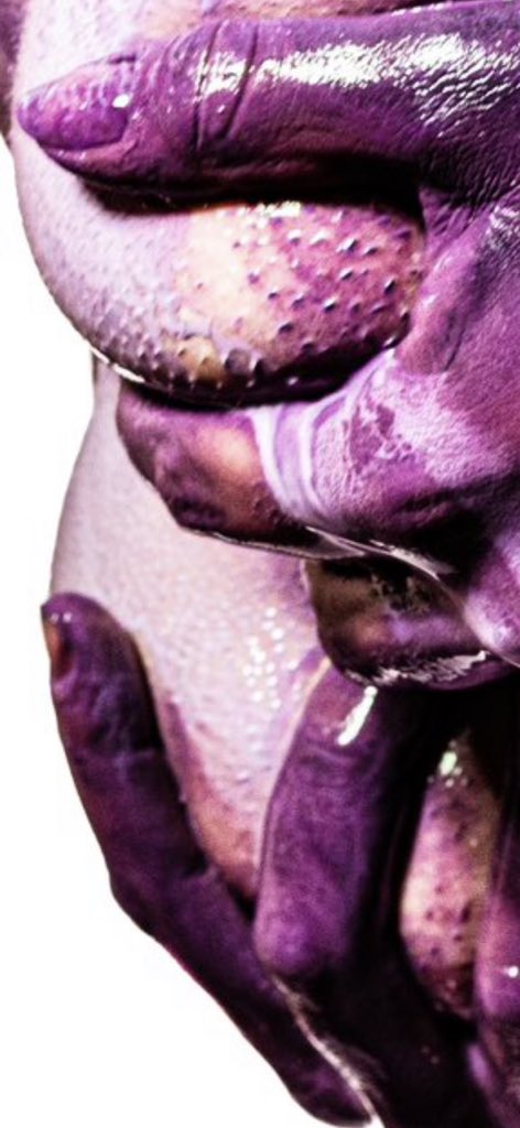 Me and Who tweet media