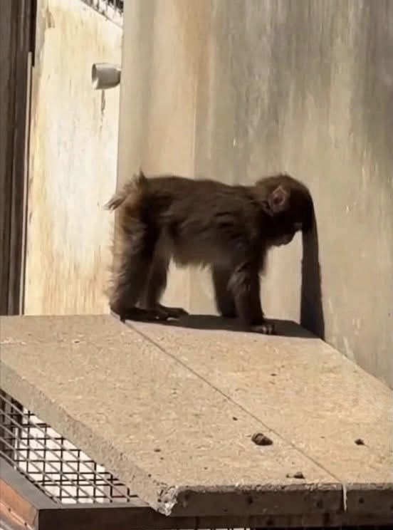 รีวิวชีวิตช่วงนี้ :