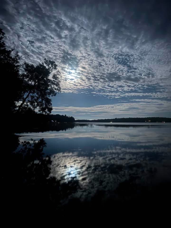 sea lover tweet media