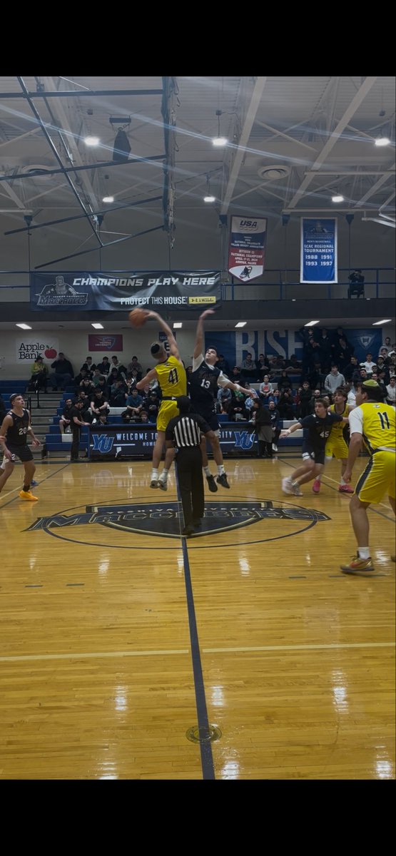 MacsLive tweet media