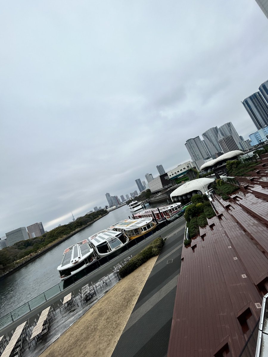 ひかぴー tweet media