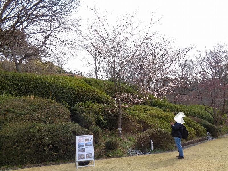 広島市植物公園 tweet media