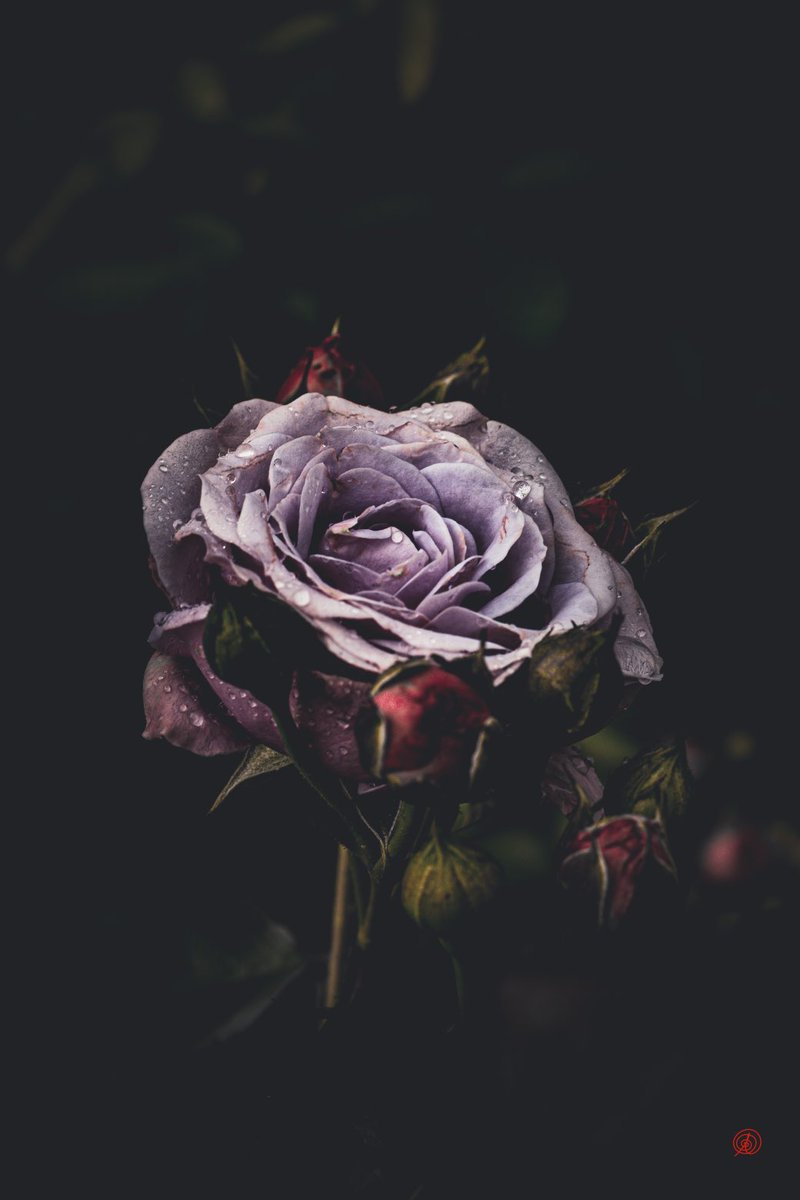 Anna Hitrova tweet media