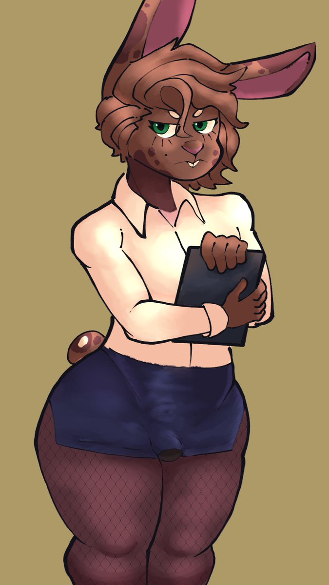 DEVS! 🐻 tweet media