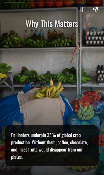 GO GREEN tweet media