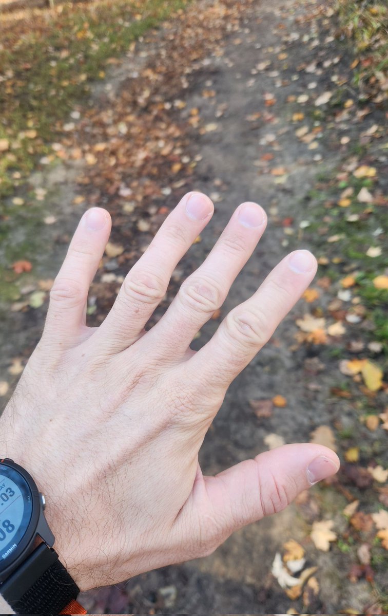 norisk315 tweet media