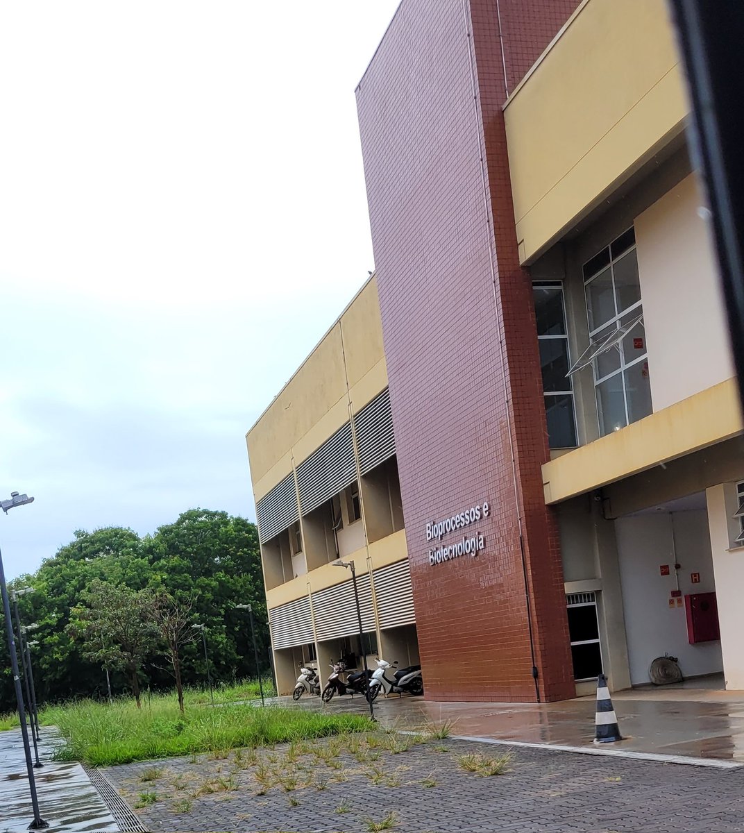 Ellie é engenheira🏷🌐 tweet media