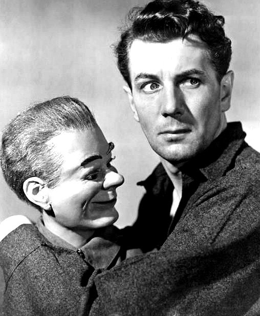 Lauren Thompson tweet media