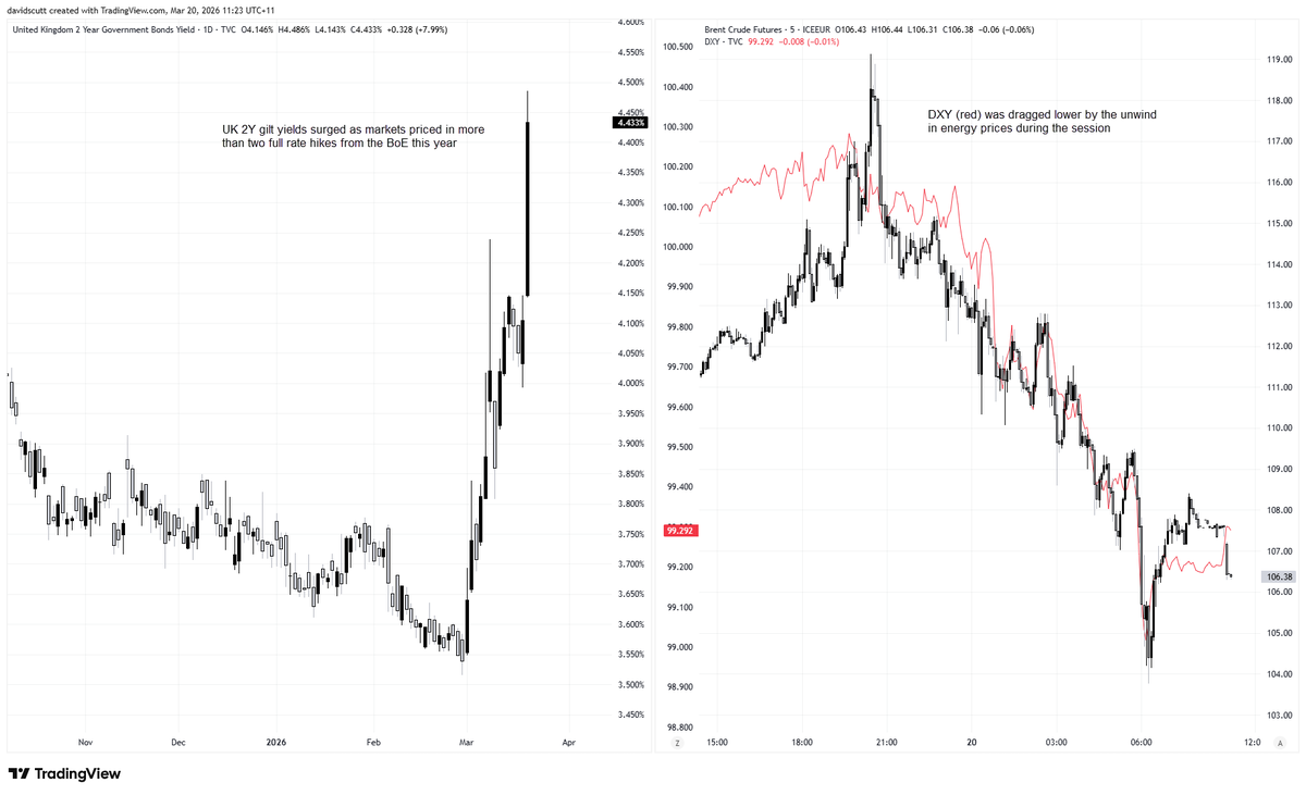 David Scutt tweet media