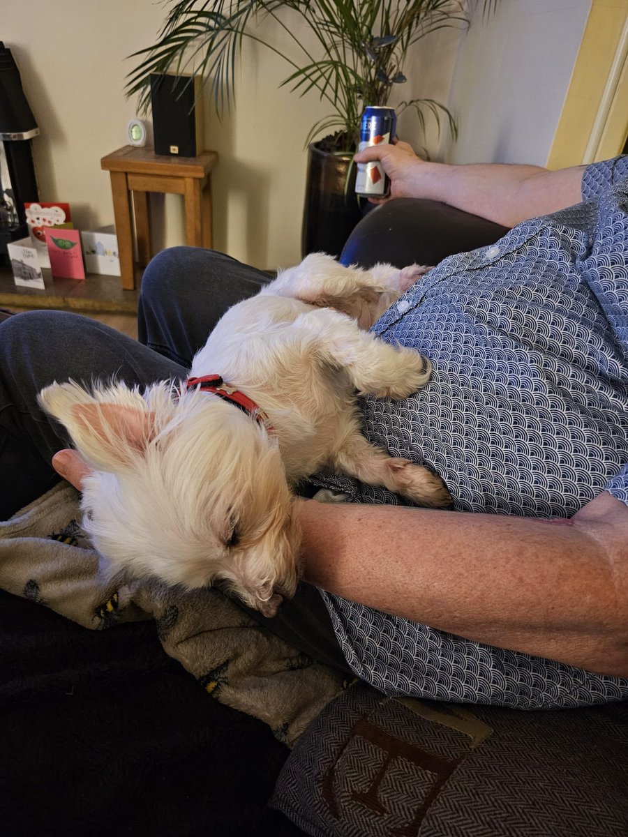 Sir Rowley Gherkin QC tweet media