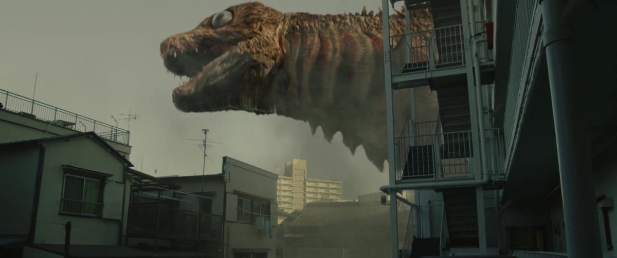 Godzilla Perfect Shots tweet media
