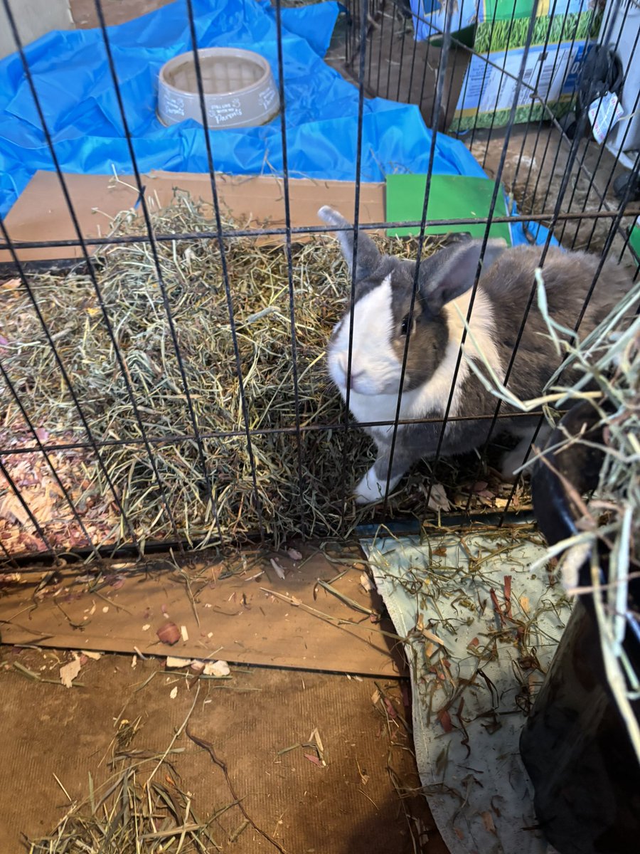 Wilson and friends tweet media