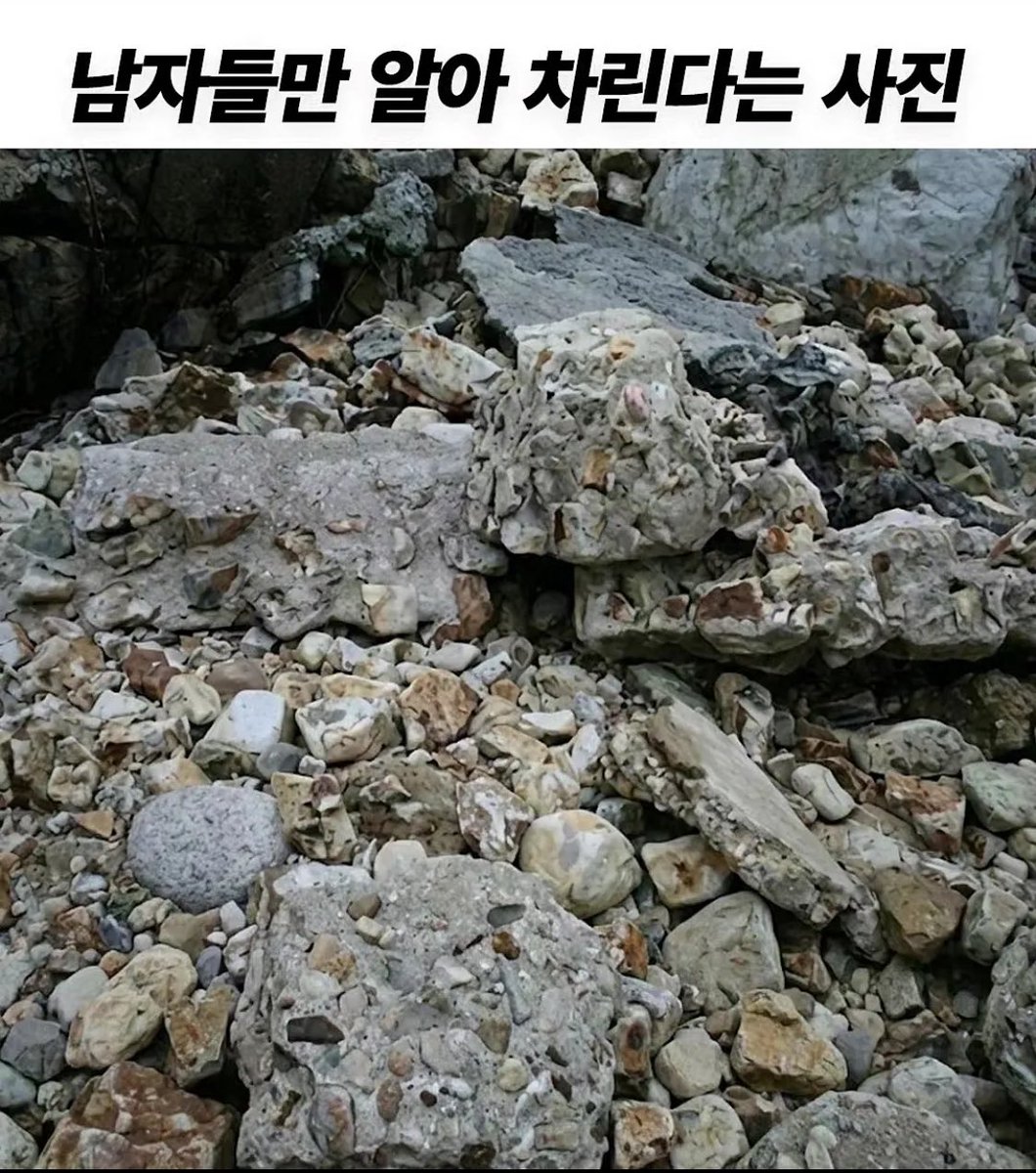 celeste 🇰🇷🇺🇸 tweet media