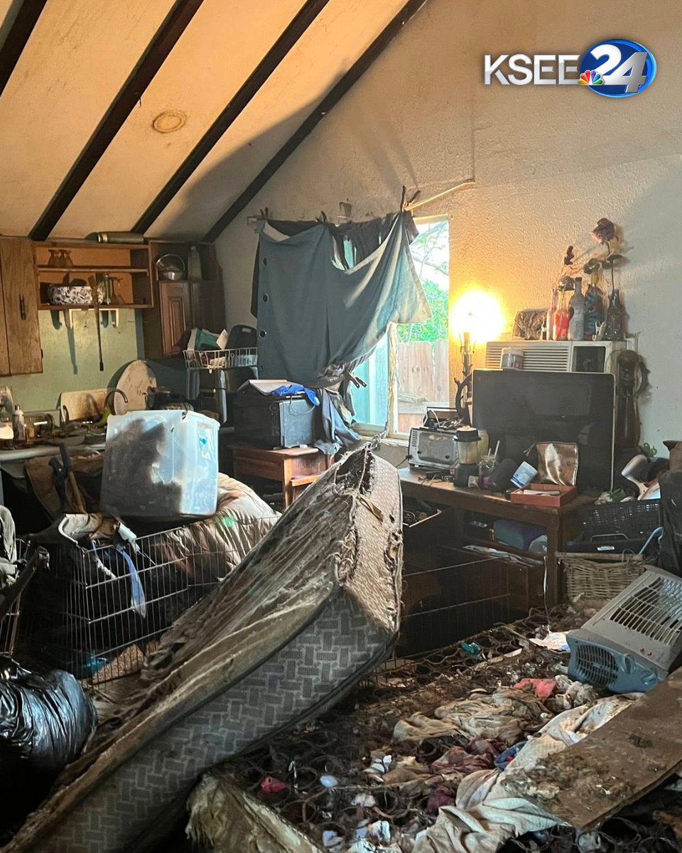 KSEE24 News tweet media