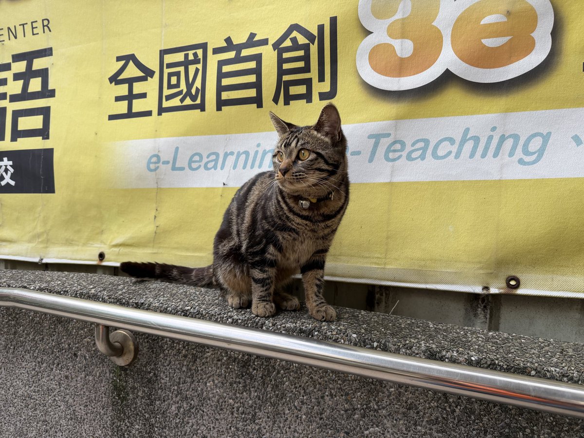 連公子 tweet media