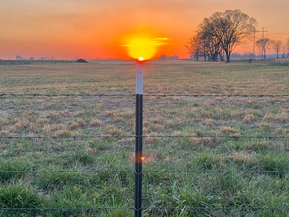 Bryster Hulzini (Hulsey) tweet media