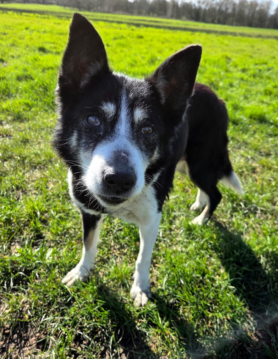 BeLLa StAr AngGel 🇬🇧🇮🇪☘️♥️♥️🫶🫶🫶 tweet media