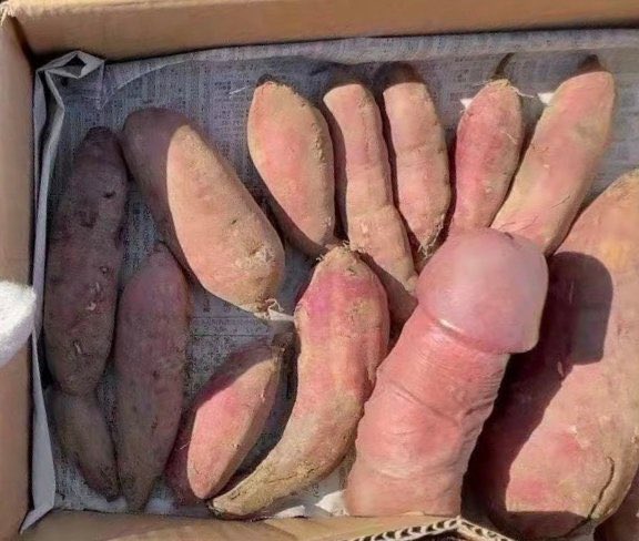 Me and Who tweet media