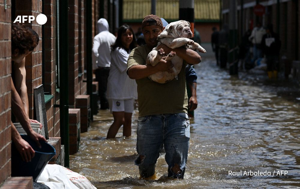 AFP News Agency tweet media