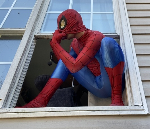 Boost ☆ 🇵🇷🐵 tweet media