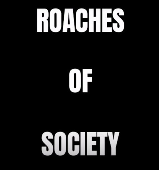 T Cooks 🇺🇸 tweet media