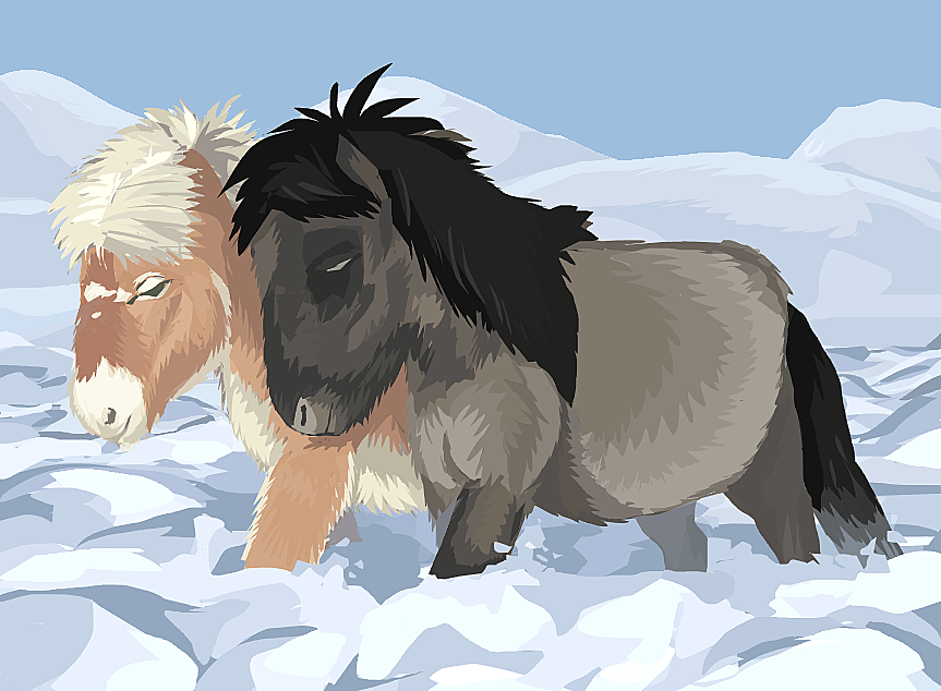 horsettia tweet media