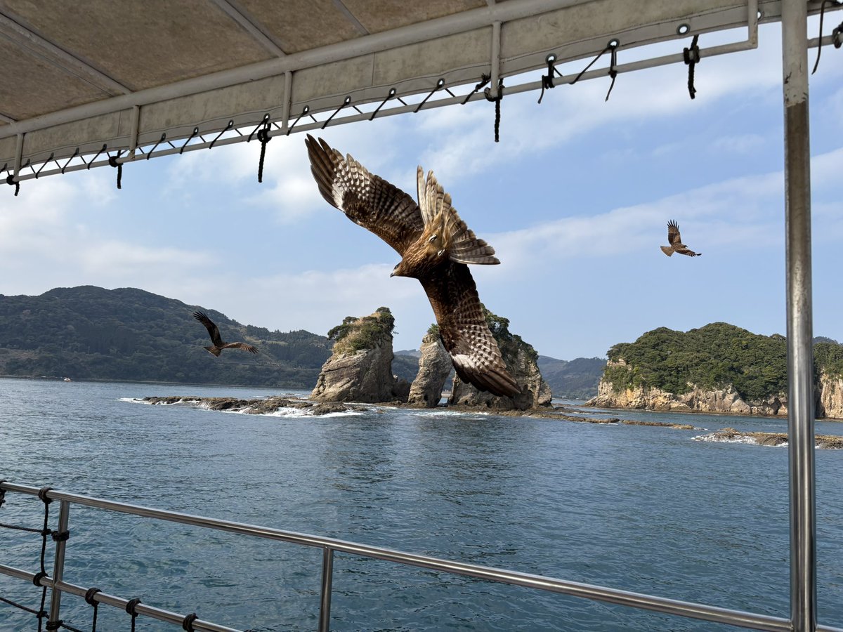 NAS&P250 tweet media