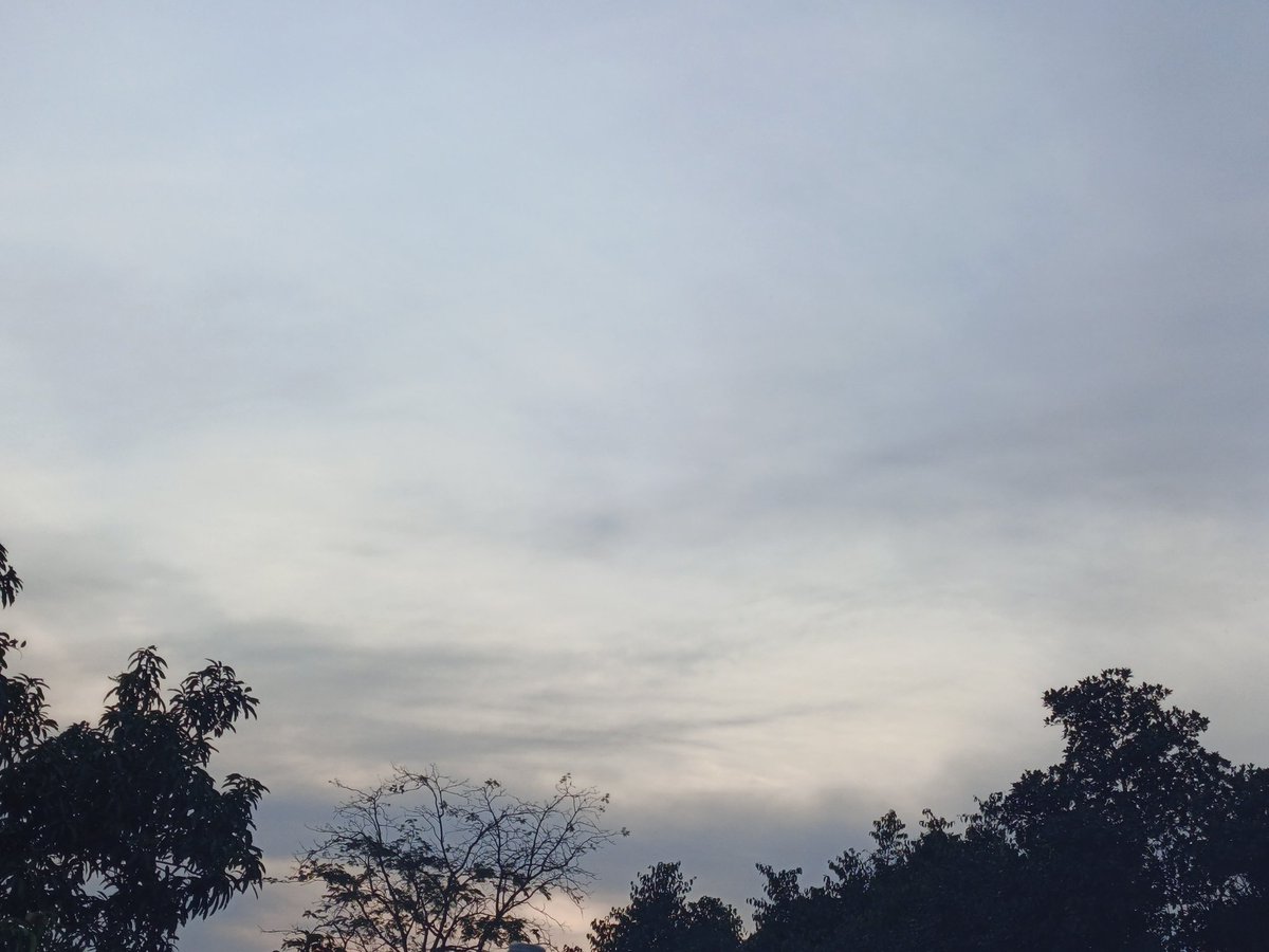 𝒇𝒆𝒓𝒊𝒔𝒔 tweet media