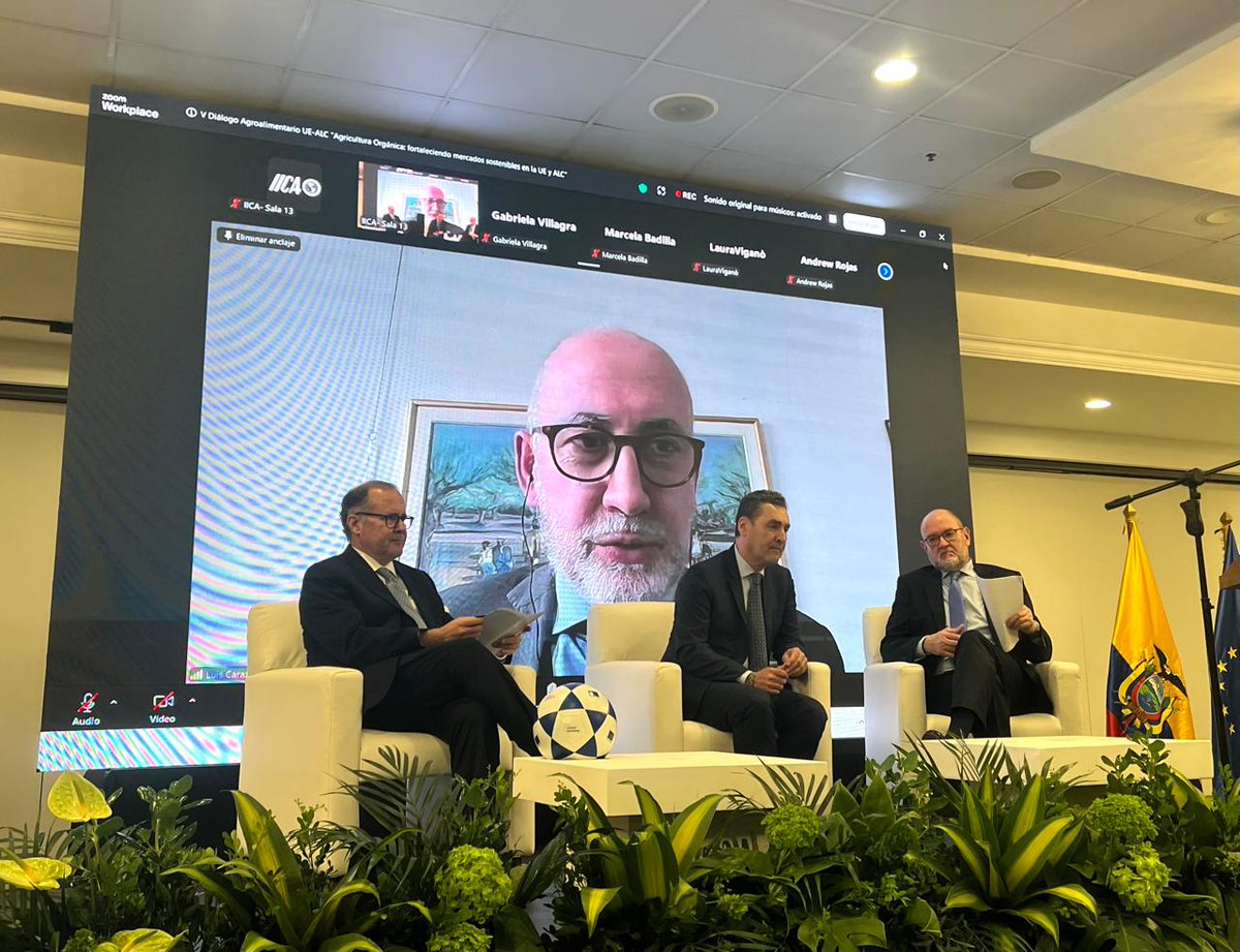 UE en Ecuador 🇪🇺 tweet media