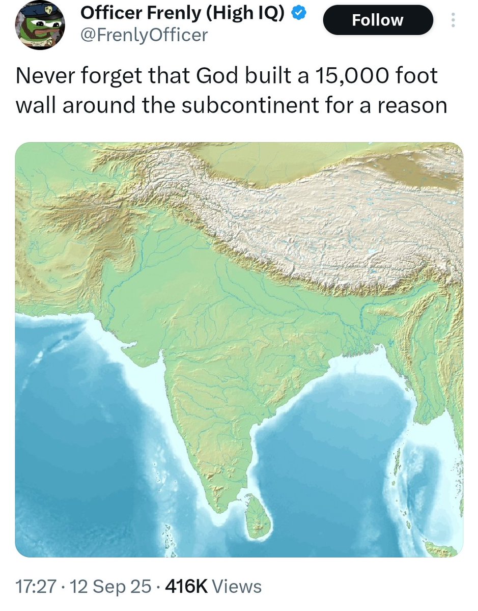 Millennial Frog tweet media