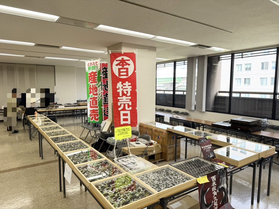 インセクエスト tweet media