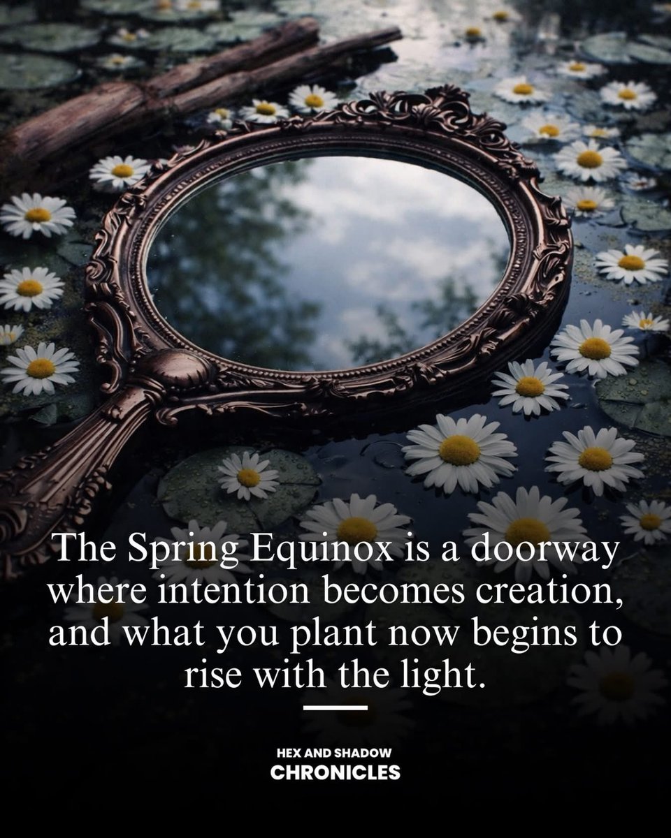 🧬Maxpein🧬 tweet media