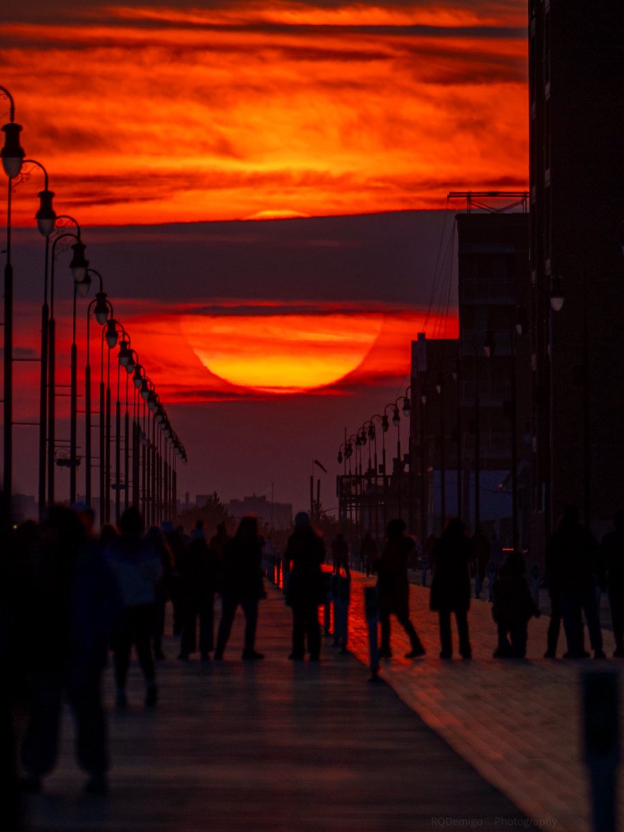 RosalieQD tweet media