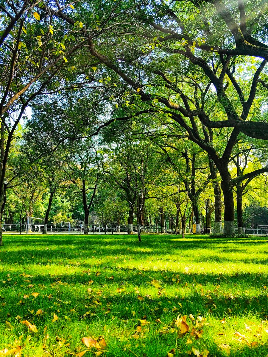 glorisha purvis tweet media