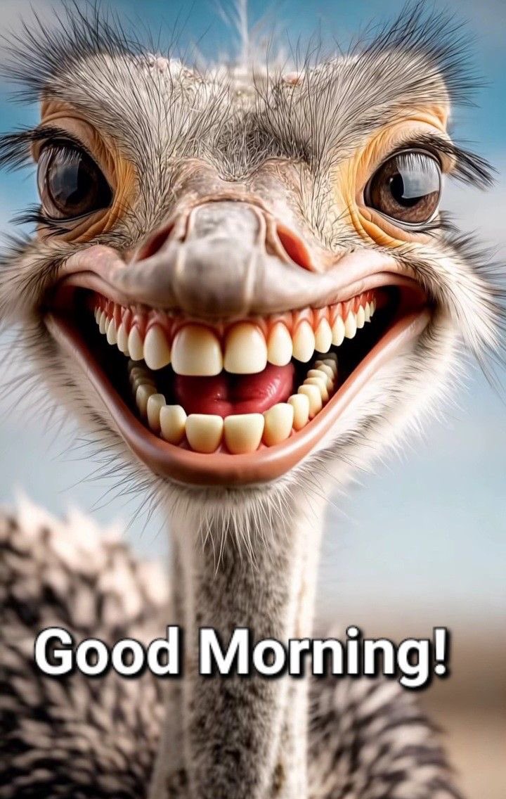 𝓗𝖔𝖓𝖔𝖚𝖗𝖆𝖇𝖑𝖊 𝕭𝖑𝖊𝖘𝖘𝖊𝖉 tweet media