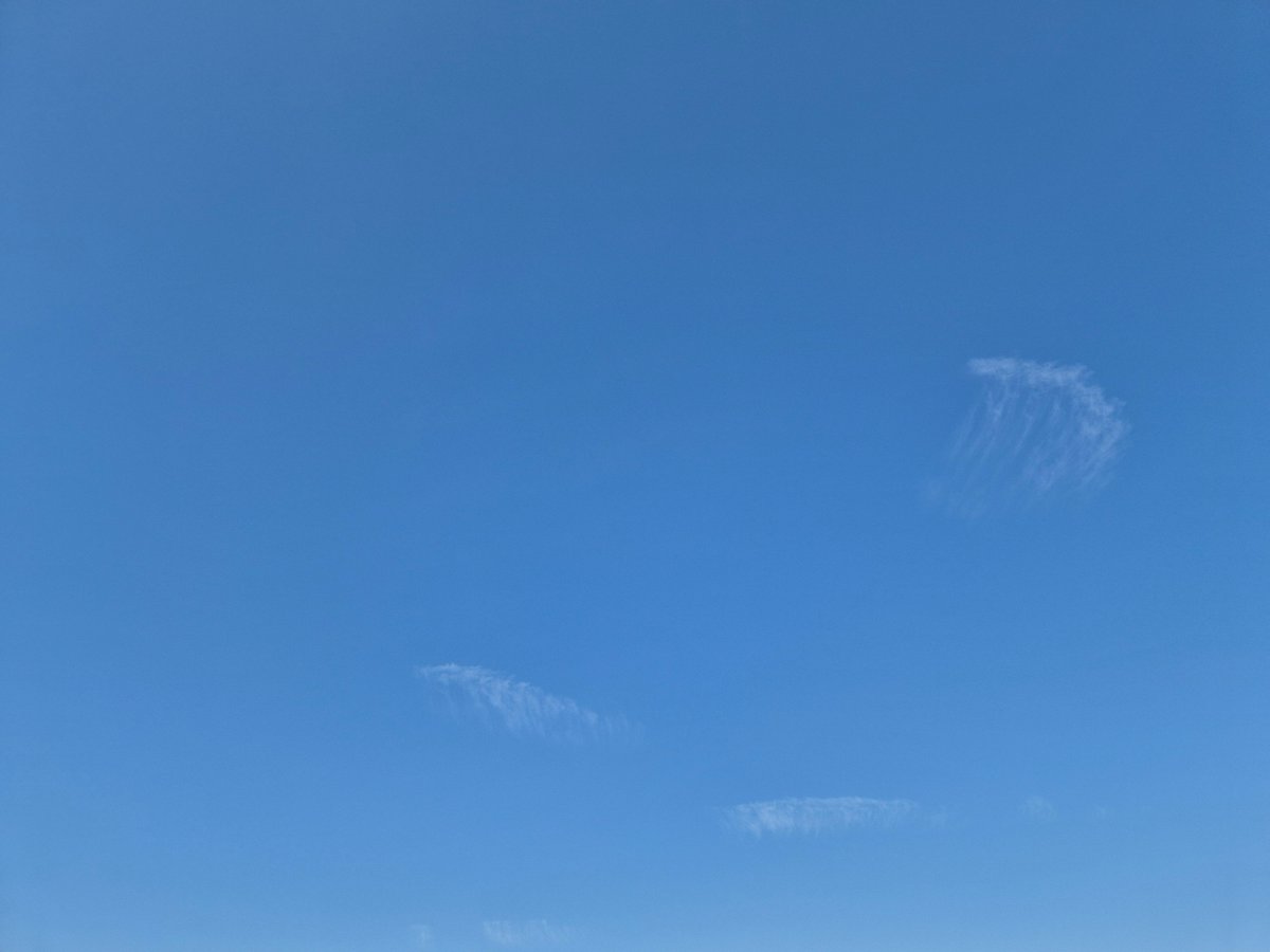 Mirua(미루아) tweet media