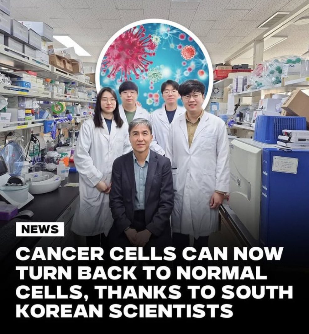 Tiffany Fong (serious-ish) tweet media