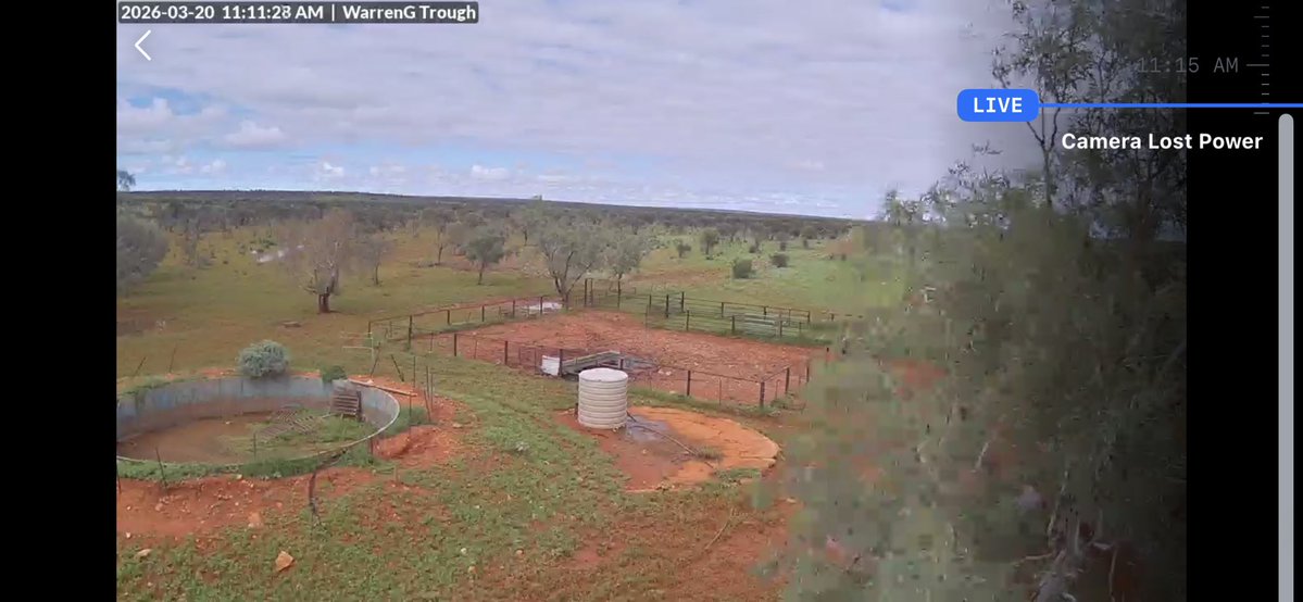 Gillian Fennell tweet media