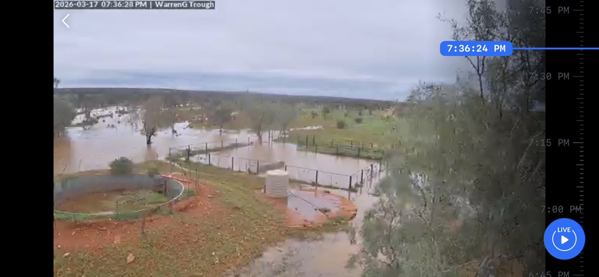 Gillian Fennell tweet media