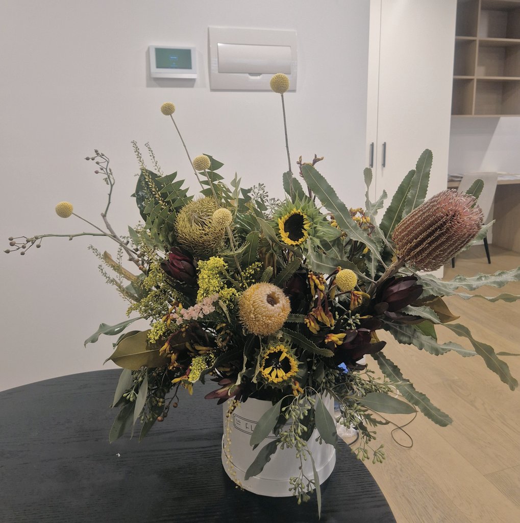 Dee 🤍 ディア tweet media