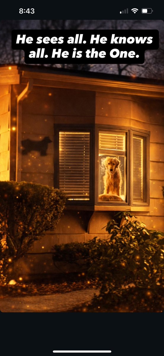 Shilvester Stallone 🦇🔊🌊 tweet media