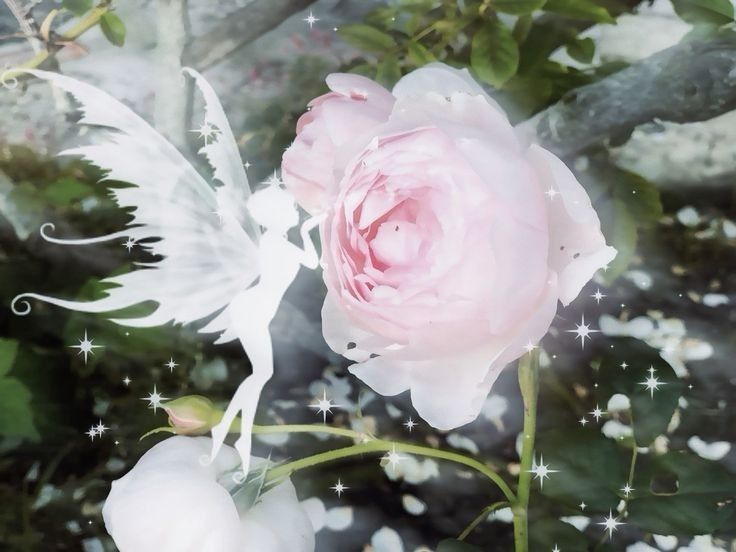 Sha ✧ *⁠ 。.🐞 tweet media