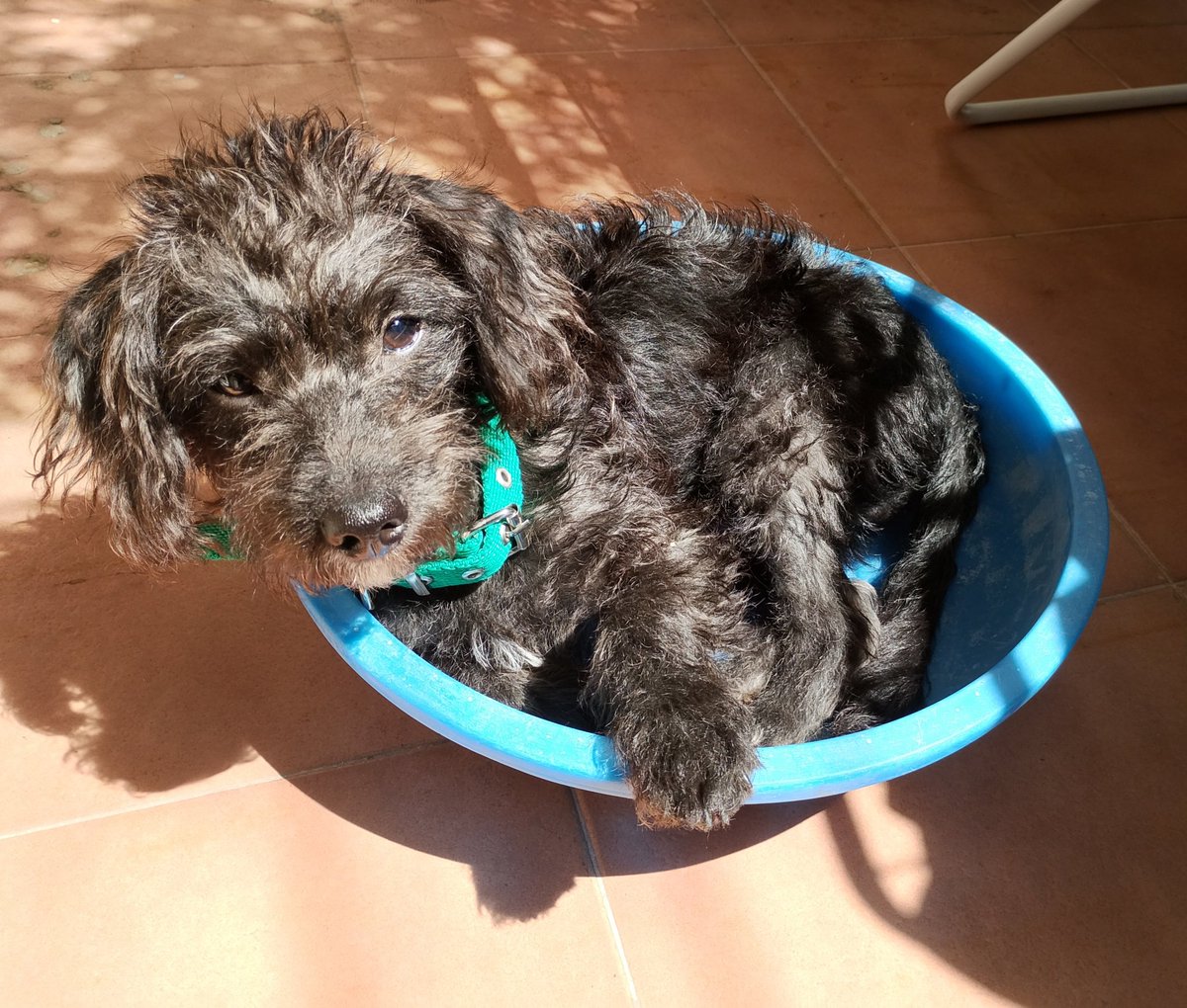 Stefanie tweet media