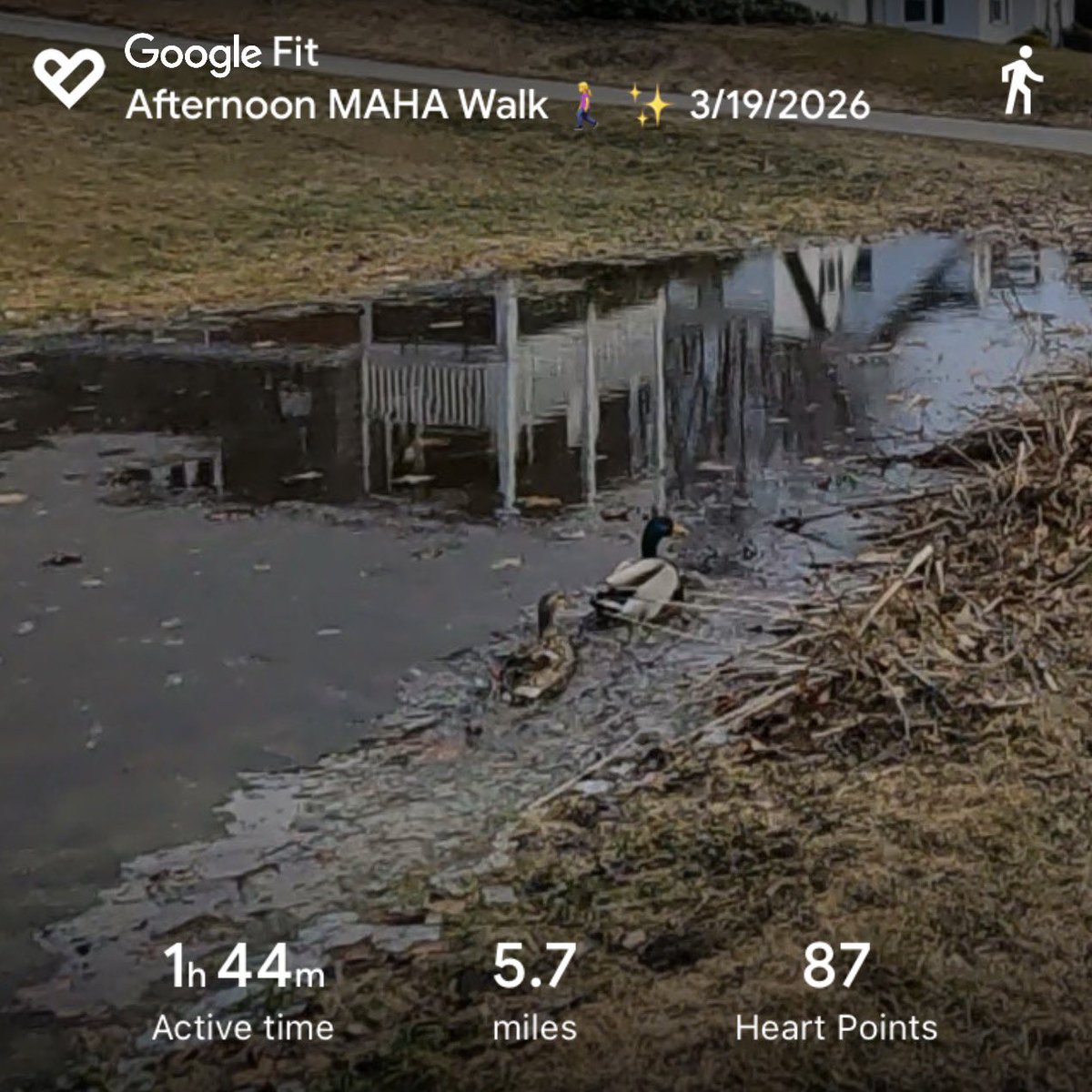 Moni 💕 tweet media