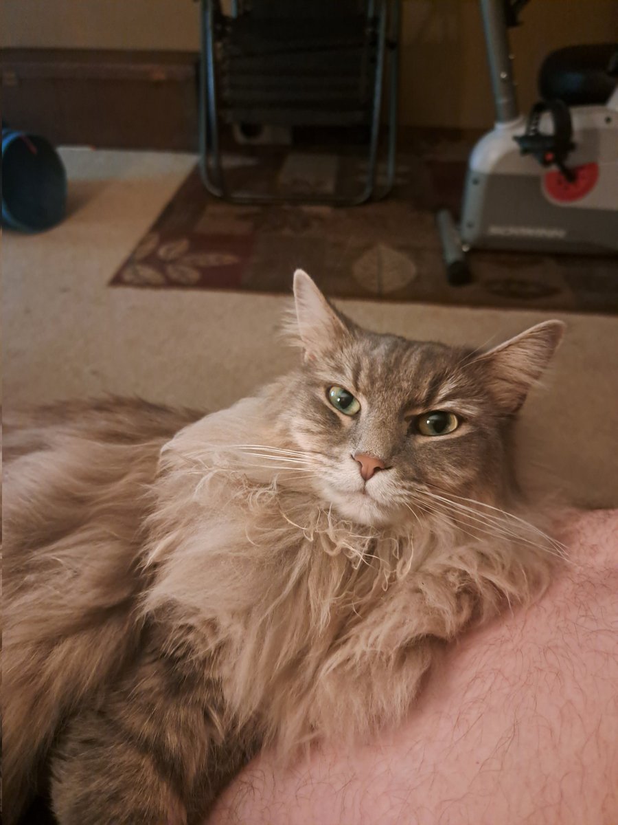 I dont pick sides tweet media