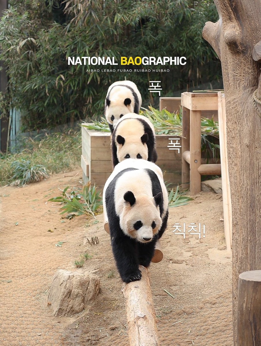 쏘야✨️ tweet media