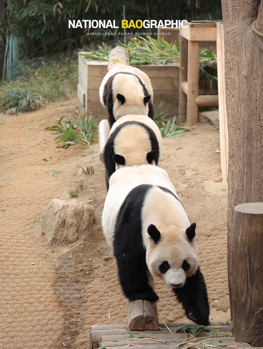 쏘야✨️ tweet media