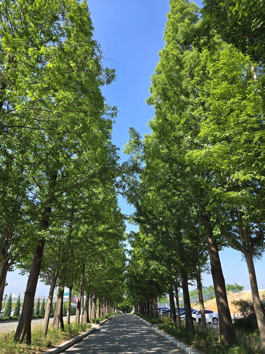 또로롱 tweet media