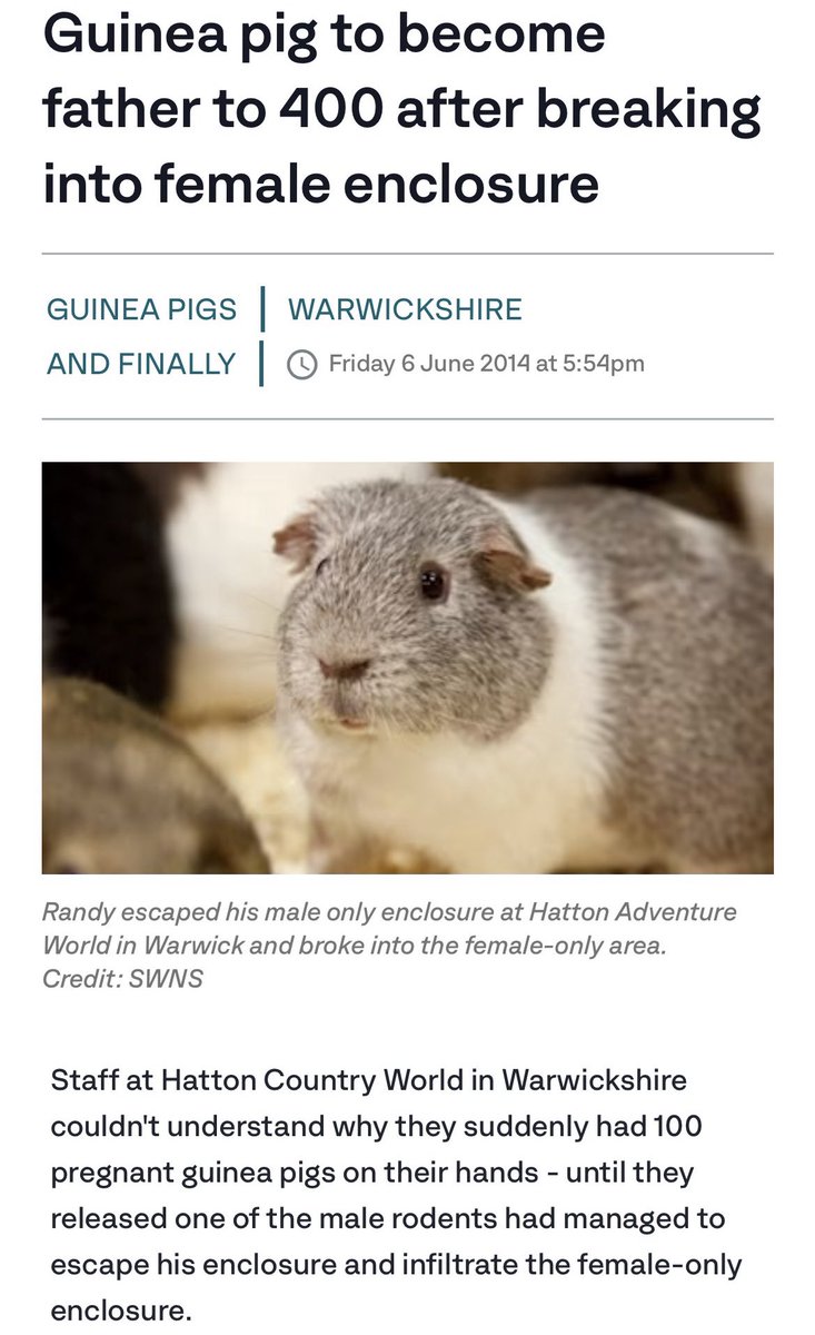 Rare | ♻️🇬🇧 tweet media