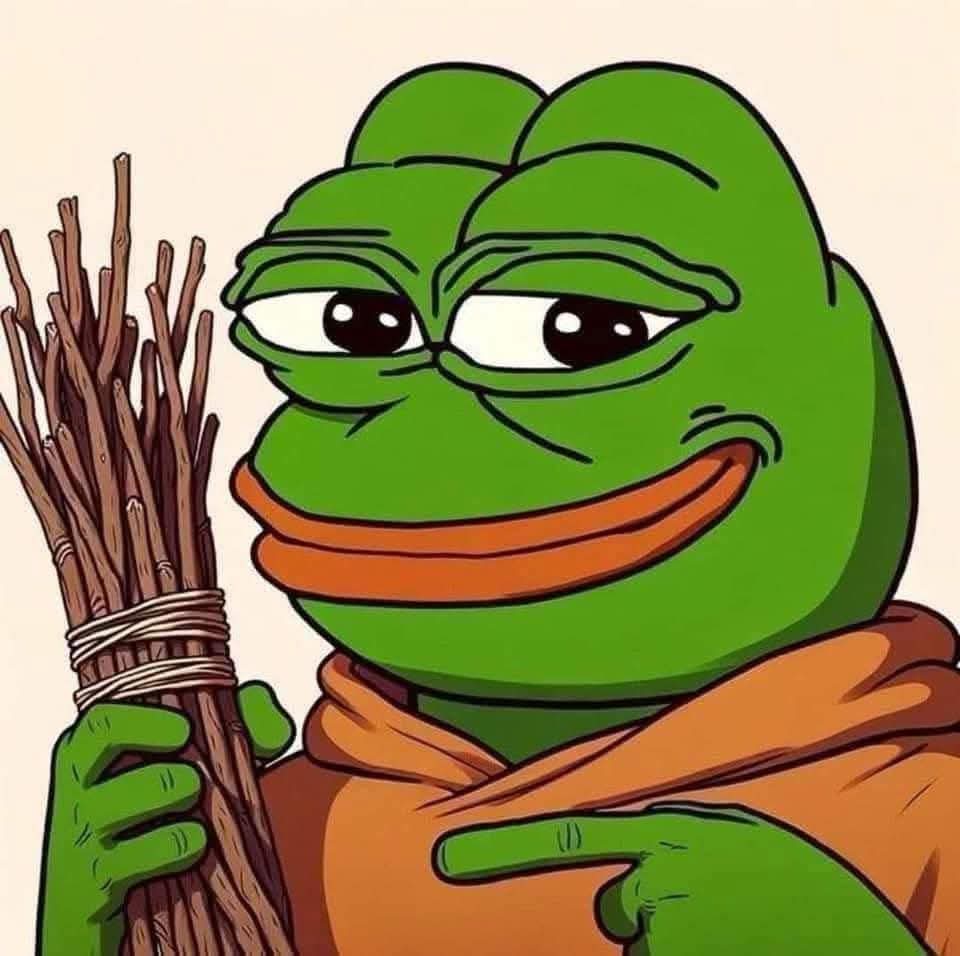 CelticNF tweet media